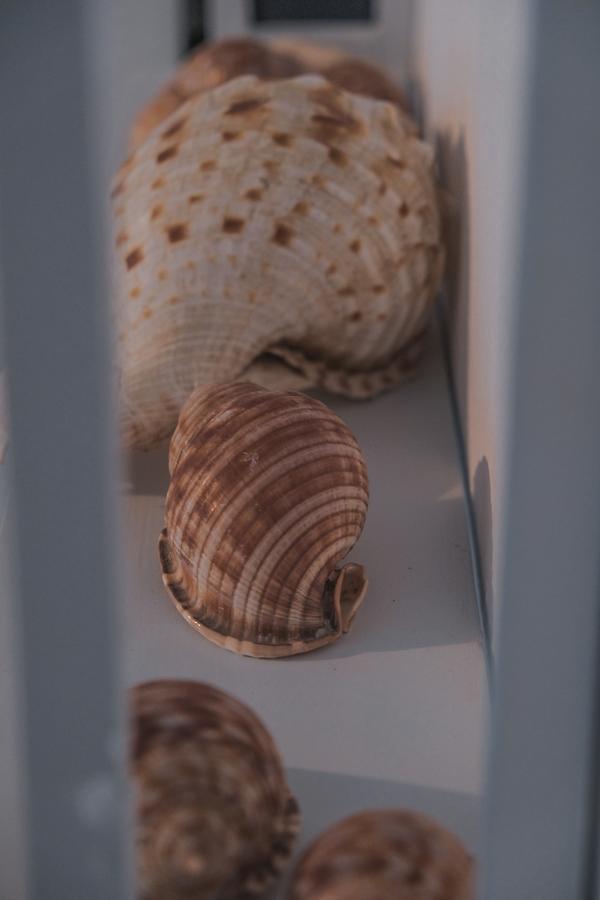 Lotus Sweet Home Hydra المظهر الخارجي الصورة